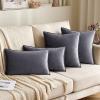 MIULEE Pack of 2 Navy Blue Decorative Velvet Throw Pillow Cover Soft Pillow Cover Soild Square Cushion Case for Sofa Bedroom Car 18x 18 Inch 45x 45cm(Dark Grey)