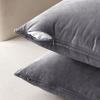 MIULEE Pack of 2 Navy Blue Decorative Velvet Throw Pillow Cover Soft Pillow Cover Soild Square Cushion Case for Sofa Bedroom Car 18x 18 Inch 45x 45cm(Dark Grey)