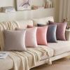 MIULEE Pack of 2 Navy Blue Decorative Velvet Throw Pillow Cover Soft Pillow Cover Soild Square Cushion Case for Sofa Bedroom Car 18x 18 Inch 45x 45cm(Dark Grey)