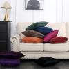 MIULEE Pack of 2 Navy Blue Decorative Velvet Throw Pillow Cover Soft Pillow Cover Soild Square Cushion Case for Sofa Bedroom Car 18x 18 Inch 45x 45cm(Hot Pink)