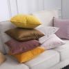MIULEE Pack of 2 Navy Blue Decorative Velvet Throw Pillow Cover Soft Pillow Cover Soild Square Cushion Case for Sofa Bedroom Car 18x 18 Inch 45x 45cm(Jam)