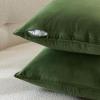 MIULEE Pack of 2 Navy Blue Decorative Velvet Throw Pillow Cover Soft Pillow Cover Soild Square Cushion Case for Sofa Bedroom Car 18x 18 Inch 45x 45cm(Moss Green)