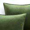 MIULEE Pack of 2 Navy Blue Decorative Velvet Throw Pillow Cover Soft Pillow Cover Soild Square Cushion Case for Sofa Bedroom Car 18x 18 Inch 45x 45cm(Moss Green)