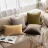 MIULEE Pack of 2 Navy Blue Decorative Velvet Throw Pillow Cover Soft Pillow Cover Soild Square Cushion Case for Sofa Bedroom Car 18x 18 Inch 45x 45cm(Olive Green)