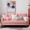 MIULEE Pack of 2 Navy Blue Decorative Velvet Throw Pillow Cover Soft Pillow Cover Soild Square Cushion Case for Sofa Bedroom Car 18x 18 Inch 45x 45cm(Pure White)