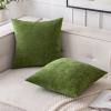 MIULEE Pack of 2 Orange Decorative Pillow Covers 16×16 Inch Soft Chenille Couch Throw Pillows Farmhouse Cushion Covers for Home Decor Sofa Bedroom Living Room(Moss Green)