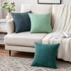 MIULEE Pack of 2 Orange Decorative Pillow Covers 16×16 Inch Soft Chenille Couch Throw Pillows Farmhouse Cushion Covers for Home Decor Sofa Bedroom Living Room(Blue)