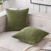 MIULEE Pack of 2 Orange Decorative Pillow Covers 16×16 Inch Soft Chenille Couch Throw Pillows Farmhouse Cushion Covers for Home Decor Sofa Bedroom Living Room(Sage Green)