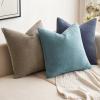 MIULEE Pack of 2 Orange Decorative Pillow Covers 16×16 Inch Soft Chenille Couch Throw Pillows Farmhouse Cushion Covers for Home Decor Sofa Bedroom Living Room(Blue Gray)