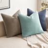 MIULEE Pack of 2 Orange Decorative Pillow Covers 16×16 Inch Soft Chenille Couch Throw Pillows Farmhouse Cushion Covers for Home Decor Sofa Bedroom Living Room(Aqua Green)