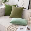 MIULEE Pack of 2 Orange Decorative Pillow Covers 16×16 Inch Soft Chenille Couch Throw Pillows Farmhouse Cushion Covers for Home Decor Sofa Bedroom Living Room(Sage Green)
