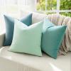 MIULEE Pack of 2 Velvet Soft Solid Decorative Square Throw Pillow Covers Christmas Cushion Case for Couch Sofa Bedroom Car 18×18 Inch 45×45 cm Green(Aqua Green)
