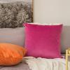MIULEE Pack of 2 Velvet Soft Solid Decorative Square Throw Pillow Covers Christmas Cushion Case for Couch Sofa Bedroom Car 18×18 Inch 45×45 cm Green(Hot Pink)