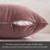MIULEE Pack of 2 Velvet Soft Solid Decorative Square Throw Pillow Covers Christmas Cushion Case for Couch Sofa Bedroom Car 18×18 Inch 45×45 cm Green(Jam)