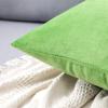 MIULEE Pack of 2 Velvet Soft Solid Decorative Square Throw Pillow Covers Christmas Cushion Case for Couch Sofa Bedroom Car 18×18 Inch 45×45 cm Green(Lime Green)