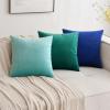 MIULEE Pack of 2 Velvet Soft Solid Decorative Square Throw Pillow Covers Christmas Cushion Case for Couch Sofa Bedroom Car 18×18 Inch 45×45 cm Green(Royal Blue)