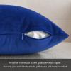 MIULEE Pack of 2 Velvet Soft Solid Decorative Square Throw Pillow Covers Christmas Cushion Case for Couch Sofa Bedroom Car 18×18 Inch 45×45 cm Green(Royal Blue)