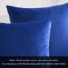 MIULEE Pack of 2 Velvet Soft Solid Decorative Square Throw Pillow Covers Christmas Cushion Case for Couch Sofa Bedroom Car 18×18 Inch 45×45 cm Green(Royal Blue)