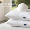 MIULEE Pack of 4 16×16 Outdoor Pillow Inserts, Water-Resistant Throw Pillow Inserts Decorative Premium Square Pillow Stuffer Sham for Porch Swing Couch Sofa Cushion Patio Furniture(4)