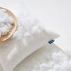 MIULEE Pillow Insert 16×16 Inch, Decorative Square Throw Pillow Inserts, Premium Fluffy Pillow Forms Sham Stuffer for Sofa Couch Living Room(2)