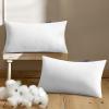 MIULEE Pillow Insert 16×16 Inch, Decorative Square Throw Pillow Inserts, Premium Fluffy Pillow Forms Sham Stuffer for Sofa Couch Living Room(2)
