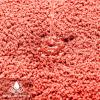 MIULEE Rust Microfiber Toilet Bath Mat U-Shaped Contour Shaggy Rugs Non Slip Extra Thick Soft Absorbent Water for Bathroom Commode Machine Washable(20×20 Inch)(Living Coral)