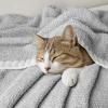 MIULEE Sage Green Super Soft Throw Blanket for Couch, Cozy Fluffy Warm Throws Knit Blankets for Sofa, Bed, Chair, Living Room, Camping, Picnic, Spring Home Decor,50 x 60 inch(Light Grey)