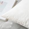 MIULEE Set of 2 24×24 Inches Throw Pillow Inserts, Down and Feather Cotton Decorative Pillows, Square Sham Stuffer for Sofa Couch Cushion Living Room(2)