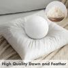 MIULEE Set of 2 24×24 Inches Throw Pillow Inserts, Down and Feather Cotton Decorative Pillows, Square Sham Stuffer for Sofa Couch Cushion Living Room(2)