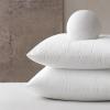 MIULEE Set of 2 Throw Pillow Inserts Premium Pillow Stuffer Rectangle Form for Decorative Cushion Bed Couch Sofa 12×20 Inch(Polyester)