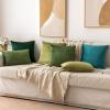 MIULEE Velvet Pillow Cover Soft Luxury Decorative Throw Pillow Cover Single Rectangle Cushion Case for Couch Sofa Bedroom Car Decor,12×20 Inch Dark Blue(Moss Green)