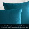 MIULEE Velvet Pillow Cover Soft Luxury Decorative Throw Pillow Cover Single Rectangle Cushion Case for Couch Sofa Bedroom Car Decor,12×20 Inch Dark Blue(Teal)
