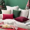 MIULEE Velvet Pillow Cover Soft Luxury Decorative Throw Pillow Cover Single Rectangle Cushion Case for Couch Sofa Bedroom Car Decor,12×20 Inch Dark Blue(Red)