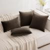 MIULEE Velvet Pillow Cover Soft Luxury Decorative Throw Pillow Cover Single Rectangle Cushion Case for Couch Sofa Bedroom Car Decor,12×20 Inch Dark Blue(Dark Coffee)