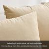 MIULEE Velvet Pillow Cover Soft Luxury Decorative Throw Pillow Cover Single Rectangle Cushion Case for Couch Sofa Bedroom Car Decor,12×20 Inch Dark Blue(Beige)