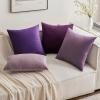 MIULEE Velvet Pillow Cover Soft Luxury Decorative Throw Pillow Cover Single Rectangle Cushion Case for Couch Sofa Bedroom Car Decor,12×20 Inch Dark Blue(Eggplant Purple)
