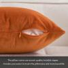MIULEE Velvet Pillow Cover Soft Luxury Decorative Throw Pillow Cover Single Rectangle Cushion Case for Couch Sofa Bedroom Car Decor,12×20 Inch Dark Blue(Orange)