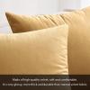 MIULEE Velvet Pillow Cover Soft Luxury Decorative Throw Pillow Cover Single Rectangle Cushion Case for Couch Sofa Bedroom Car Decor,12×20 Inch Dark Blue(Khaki)