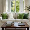 MIULEE Velvet Throw Pillow Covers Set of 2, Soft Neutral Christmas Decorative Pillow Cases with Luxurious Textured Vintage Cushion Covers for Home Decor Couch Sofa Bed,Cream White 18×18 inch(Moss Green)