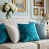 MIULEE Velvet Throw Pillow Covers Set of 2, Soft Neutral Christmas Decorative Pillow Cases with Luxurious Textured Vintage Cushion Covers for Home Decor Couch Sofa Bed,Cream White 18×18 inch(Teal Blue)