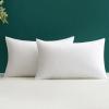 MIULEE 12×20 Pillow Inserts Throw Pillow Inserts Set of 2 12 x 20 Inches Pillow Inserts Square White Decorative Throw Pillows for Couch Sofa Bed