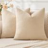 MIULEE Aqua Green Couch Pillow Covers 20×20 Inch, Set of 2 Soft Chenille Decorative Square Throw Pillow Covers Farmhouse for Sofa Living Room Bed(Beige)