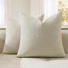 MIULEE Aqua Green Couch Pillow Covers 20×20 Inch, Set of 2 Soft Chenille Decorative Square Throw Pillow Covers Farmhouse for Sofa Living Room Bed(Cream)