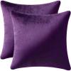 Eggplant Purple