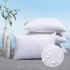 MIULEE Pack of 4 16×16 Outdoor Pillow Inserts, Water-Resistant Throw Pillow Inserts Decorative Premium Square Pillow Stuffer Sham for Porch Swing Couch Sofa Cushion Patio Furniture(4)