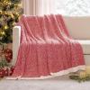 MIULEE Sage Green Super Soft Throw Blanket for Couch, Cozy Fluffy Warm Throws Knit Blankets for Sofa, Bed, Chair, Living Room, Camping, Picnic, Spring Home Decor,50 x 60 inch(Red)
