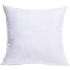 MIULEE Throw Pillow Insert Premium Pillow Stuffer Sham Rectangle for Decorative Cushion Bed Couch Sofa 12×20 Inch(1)