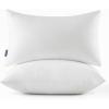 MIULEE Throw Pillow Insert Premium Pillow Stuffer Sham Rectangle for Decorative Cushion Bed Couch Sofa 12×20 Inch(2)