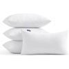 MIULEE Throw Pillow Insert Premium Pillow Stuffer Sham Rectangle for Decorative Cushion Bed Couch Sofa 12×20 Inch(4)