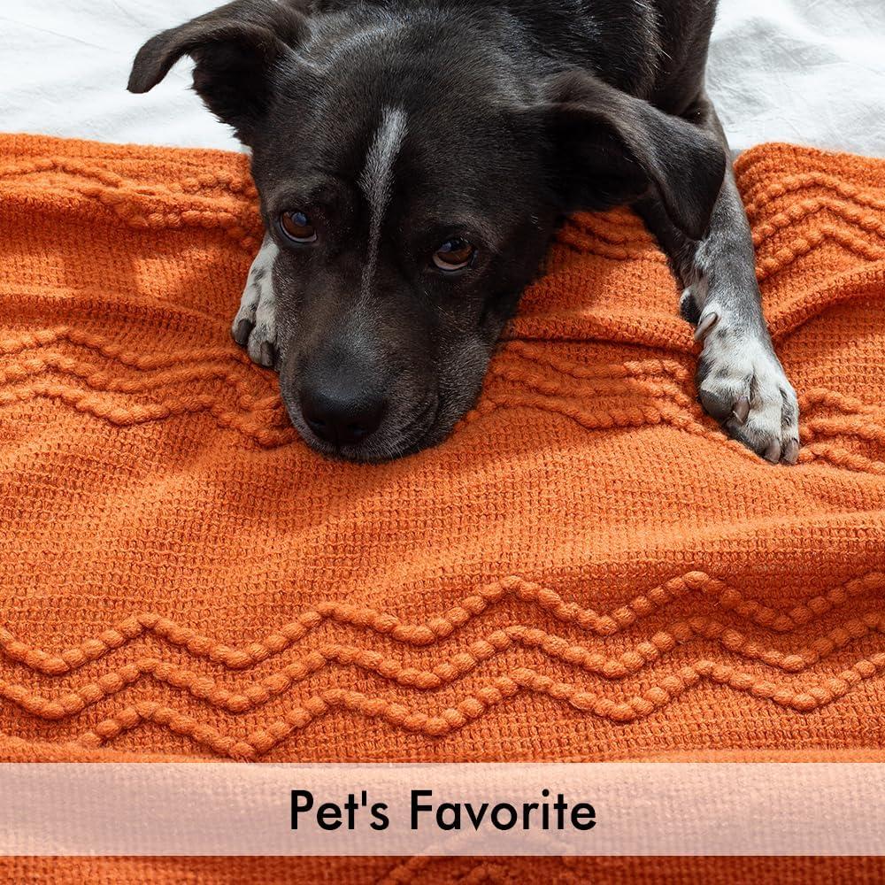 imageMIULEE Moss Green Knitted Throw Blanket for Couch Textured Knit Blanket with Tassels Cozy Woven Bed Blanket for Sofa Bed Chair Wave Pattern Spring Home Decor for All Seasons 50quotx60quotBurnt Orange